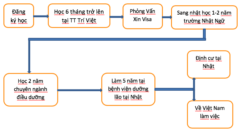 Quy trình học