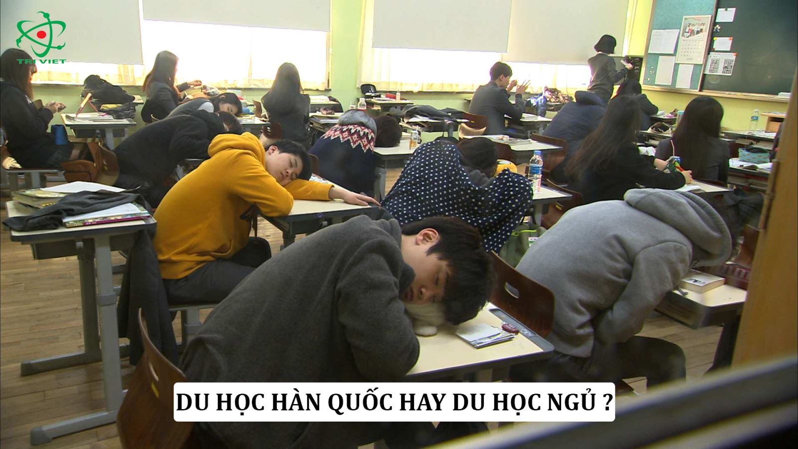 Du học Hàn Quốc chứ không phải du học Ngủ