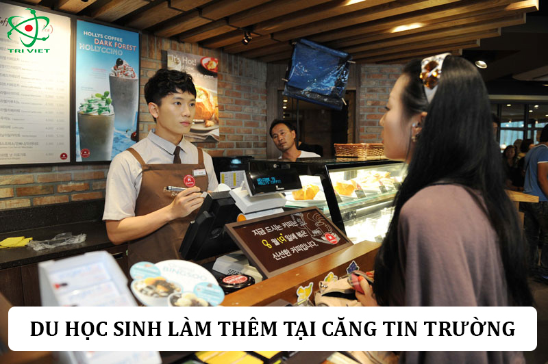 Du học sinh làm thêm trong khuôn viên trường