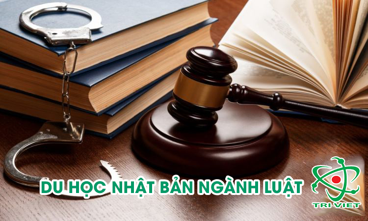 Du học Nhật Bản ngành Luật
