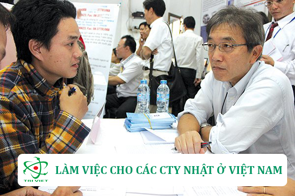 Làm cho các công ty nhât ở Việt Nam từ sau khi du học Nhật Bản về