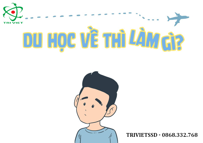 Du học Hàn Quốc về Việt Nam làm gì?