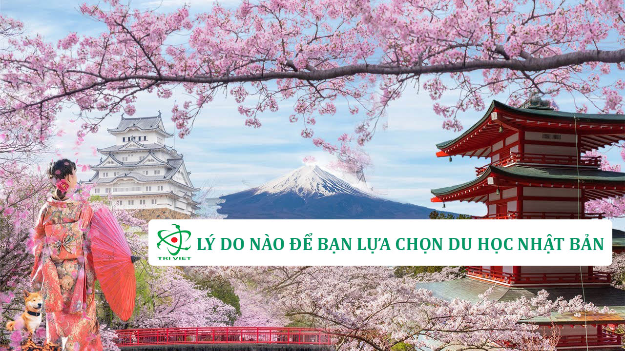 Du học Nhật Bản là gì? Tại sao lại lựa chọn du học Nhật Bản