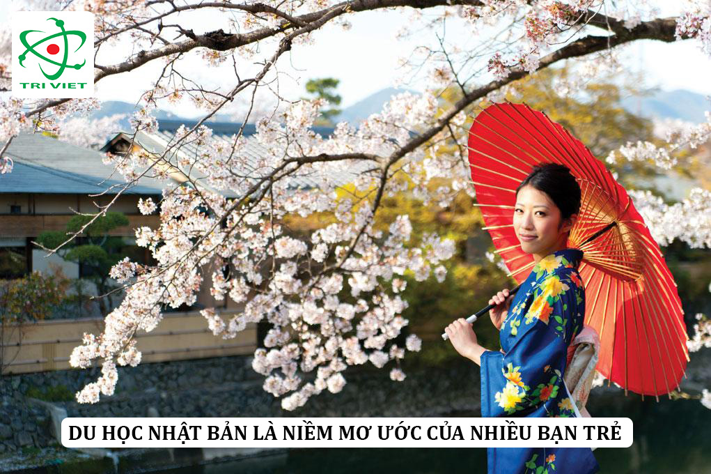 Giấc mơ du học Nhật bản của nhiều bạn trẻ