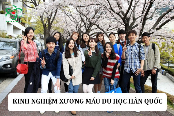 Kinh nghiệm xương máu du học Hàn Quốc
