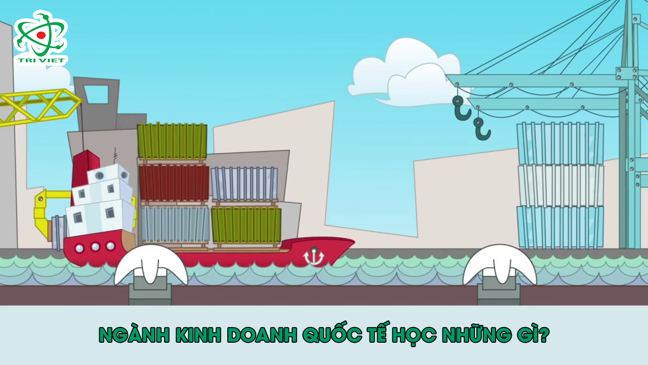 Ngành kinh doanh quốc tế học những gì?