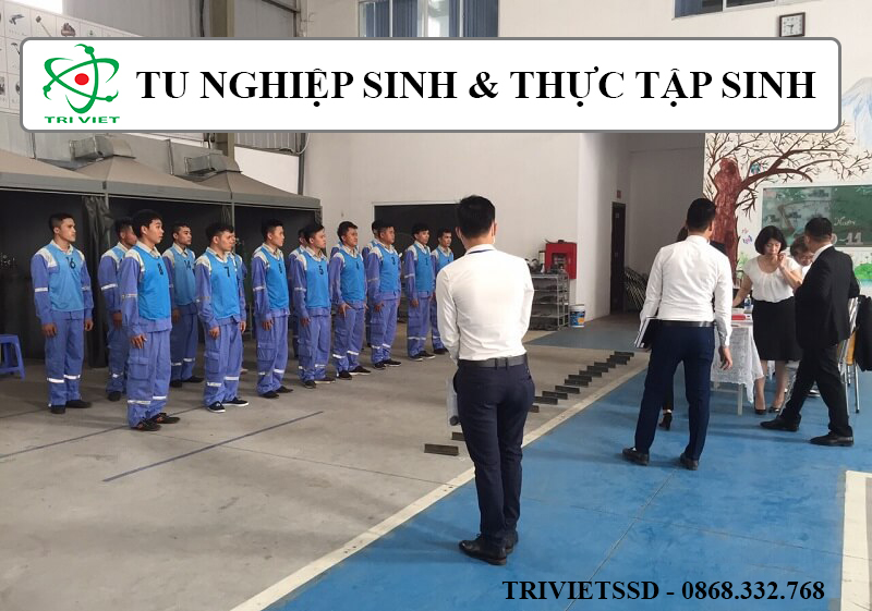 Tu nghiệp sinh và thực tập sinh tại Hàn Quốc