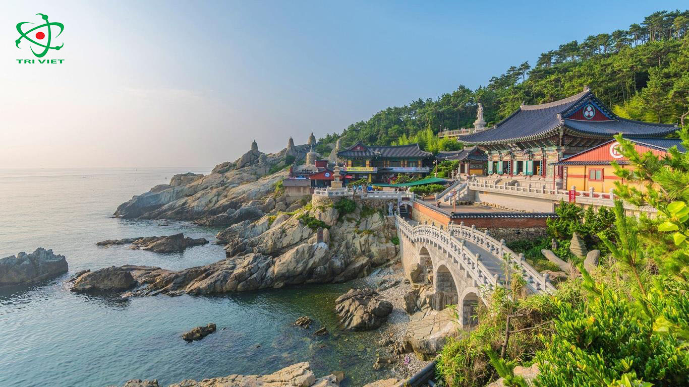 Vẻ đẹp của thành phố biển Busan