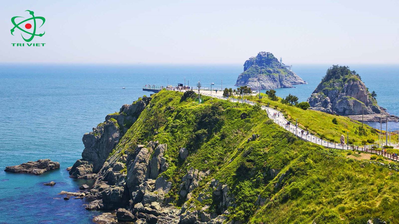 Góc nhìn khác từ biển Busan
