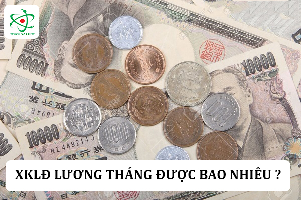 Xuất khẩu đài loan lương tháng được bao nhiêu