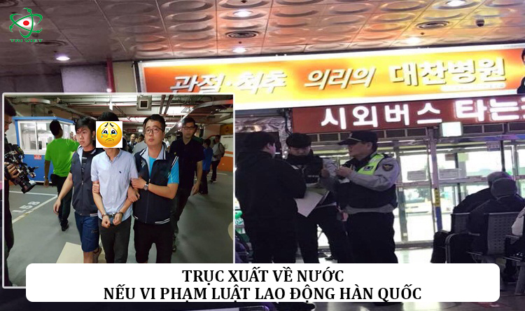 Du học Hàn Quốc có phải tất cả đều màu hồng? Kinh nghiệm xương máu