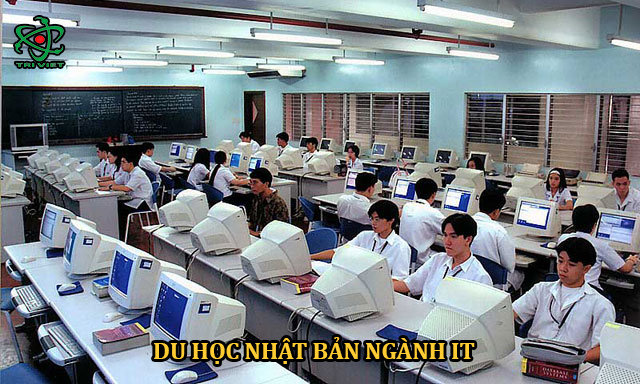 Du học Nhật Bản ngành IT - Cơ hội việc làm tuyệt vời