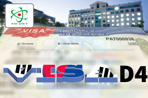 Du học nghề Hàn Quốc visa D4-6