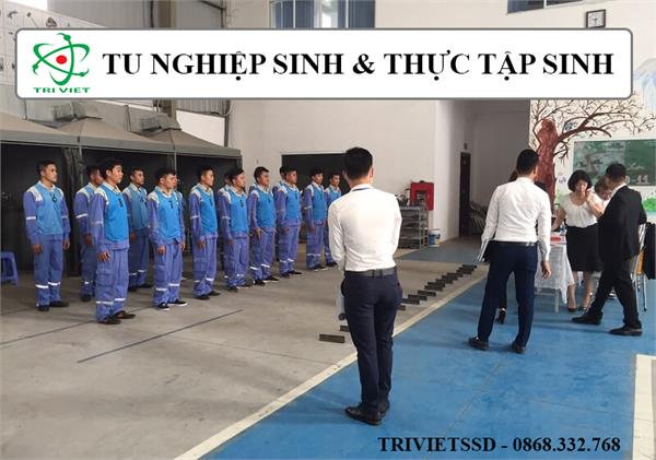 Thực tập sinh - Tu nghiệp sinh tại con đường bạn lựa chọn