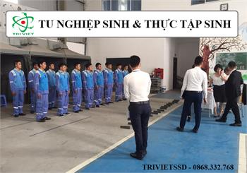 Thực tập sinh - Tu nghiệp sinh tại con đường bạn lựa chọn