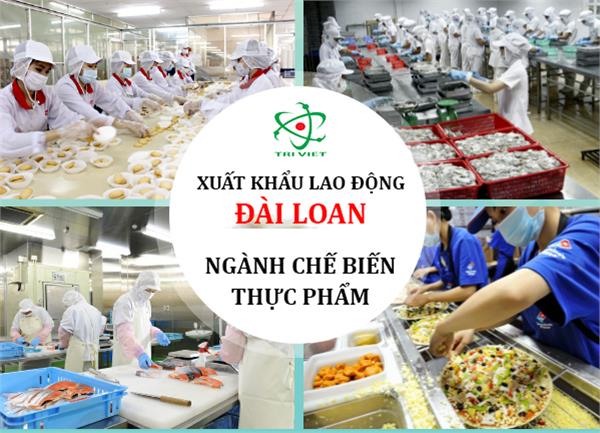Xuất khẩu lao động Đài Loan có những ngành gì?